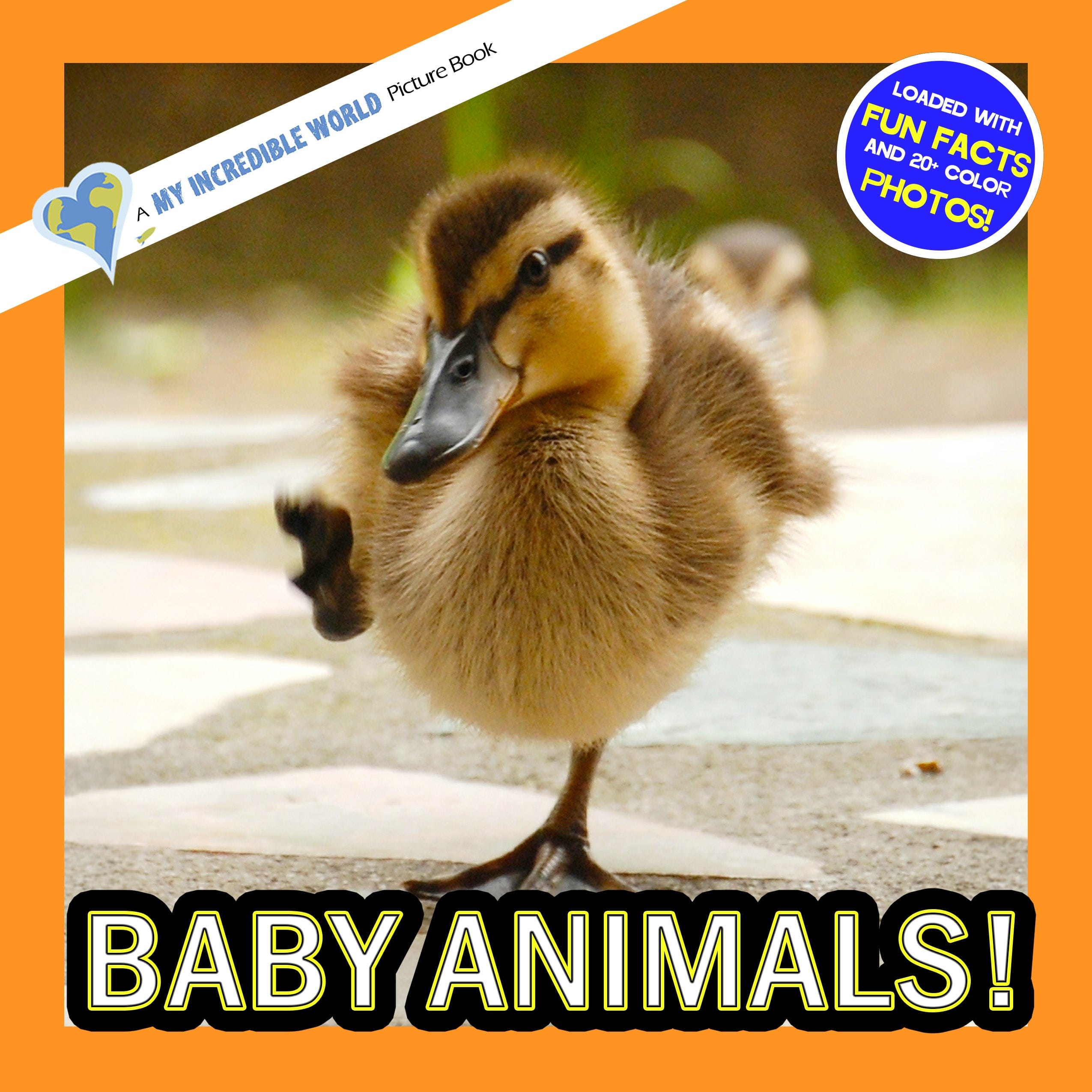 Baby Animals! A My Incredible World Picture Book for Children
